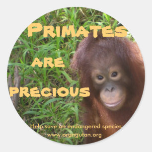 Sticker Rond Les primates sont précieux