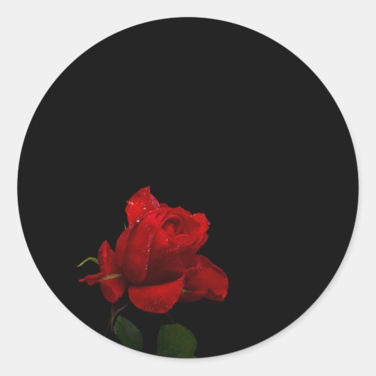 Sticker Rond Les roses sont rouges (Devant)