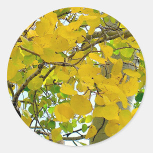 Sticker Rond Les scellants en or Aspen !