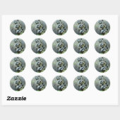Sticker Rond Les Trois Raccoons (Feuille)