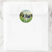Sticker Rond Les vaches adorent regarder (Sac)