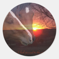 Levée de soleil des chevaux