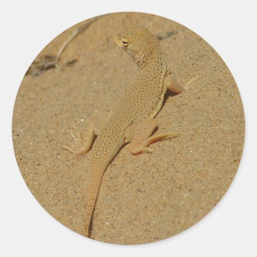 Sticker Rond Lézard à doigts frangés du Mojave (Devant)