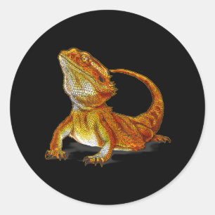 Sticker Rond Lézard Dragon Lézard Terraristique Animaux sauvage