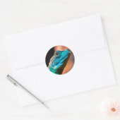 Sticker Rond Lézard vert (Enveloppe)