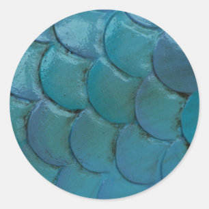 Sticker Rond L'hippocampe mesure l'autocollant