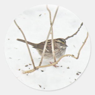 Sticker Rond L'hiver et le Bruant