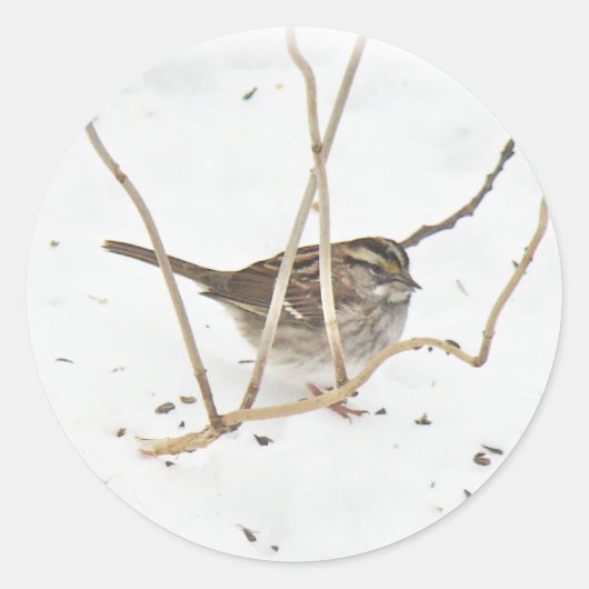 Sticker Rond L'hiver et le Bruant (Devant)