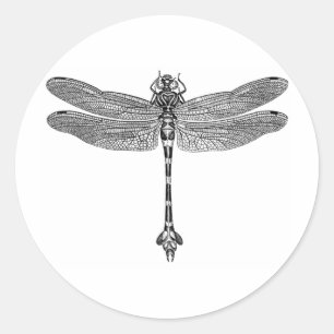 Sticker Rond Libellule