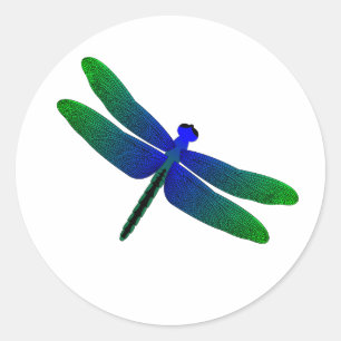 Sticker Rond Libellule