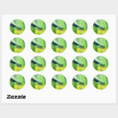 Sticker Rond libellule (Feuille)