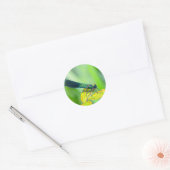 Sticker Rond libellule (Enveloppe)