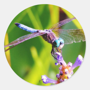 Sticker Rond libellule turquoise et violette