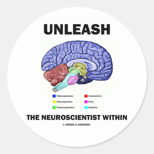 Sticker Rond Libérer Le Neuroscientifique À L'Intérieur (Anatom (Devant)