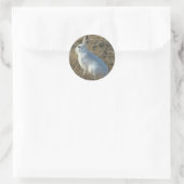 Sticker Rond Lièvre d'Amérique (Sac)