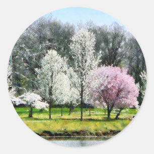 Sticker Rond Ligne d'arbres à fleurs
