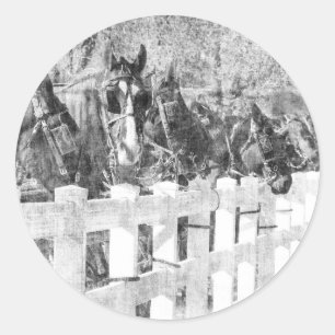 Sticker Rond Ligne de Chevaux Amish Noir et blanc