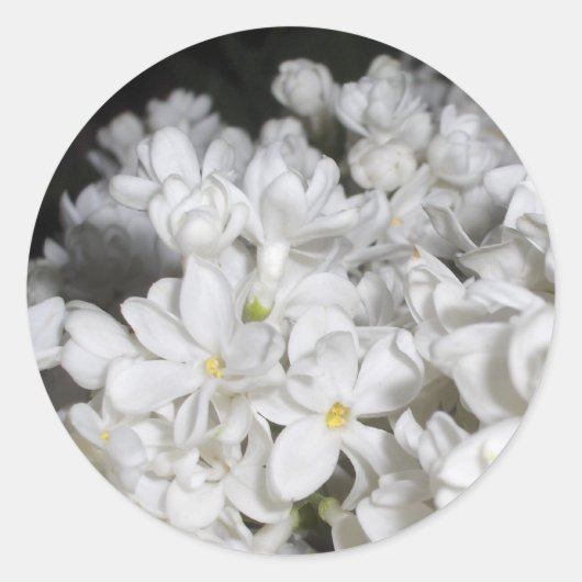 Sticker Rond Lilac (Devant)