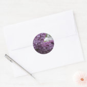 Sticker Rond Lilac Blossoms (Enveloppe)