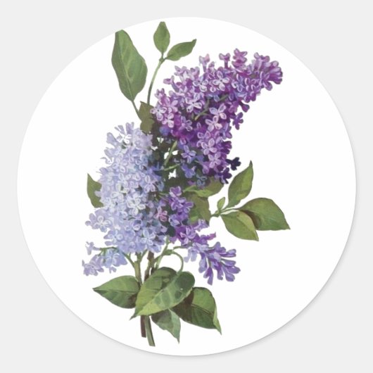 Sticker Rond Lilacs frais (Devant)