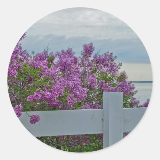 Sticker Rond Lilas par l'eau (Devant)