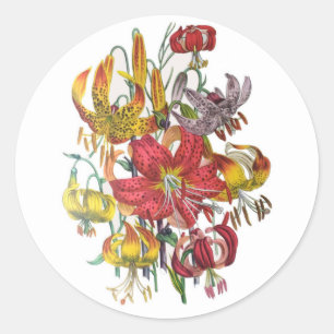 Sticker Rond Lilies