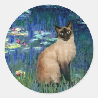 Sticker Rond Lilies 5 - Chat siamois seal point