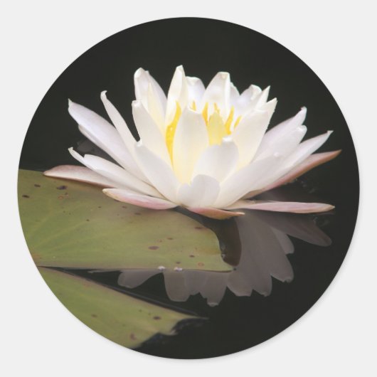 Sticker Rond Lillies (Devant)
