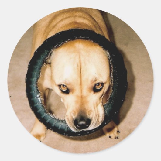 Sticker Rond Lilo dans le Tyr (Devant)