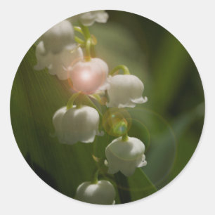 Sticker Rond Lily De La Vallée Florale