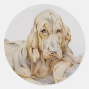 Sticker Rond Limier mignon vintage, chiots de EJ Detmold
