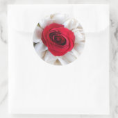 Sticker Rond Lindegren (Sac)