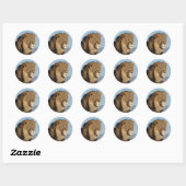 Sticker Rond Lion (Feuille)