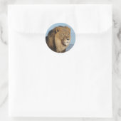 Sticker Rond Lion (Sac)