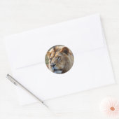 Sticker Rond Lion (Enveloppe)
