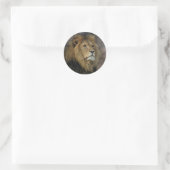 Sticker Rond Lion africain (Sac)