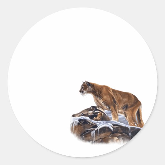 Sticker Rond Lion Cougar (Devant)