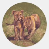 Sticker Rond Lion Cubs (Devant)