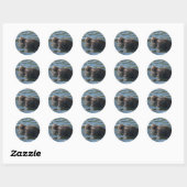 Sticker Rond Lion de mer (Feuille)
