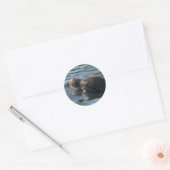 Sticker Rond Lion de mer (Enveloppe)