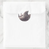 Sticker Rond Lion de mer de Steller (Sac)