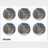 Sticker Rond Lion de mer des Galapagos (Feuille)