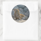 Sticker Rond Lion de mer des Galapagos (Sac)