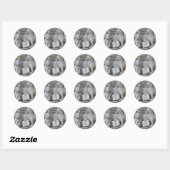 Sticker Rond Lion de Venise (Feuille)