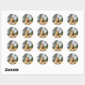 Sticker Rond Lion femelle (Feuille)