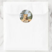 Sticker Rond Lion femelle (Sac)