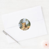 Sticker Rond Lion femelle (Enveloppe)