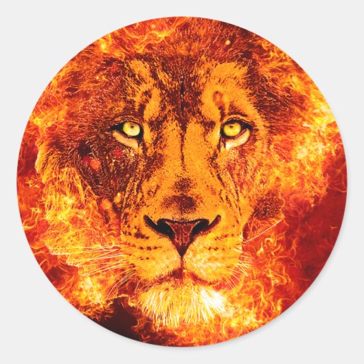Sticker Rond Lion flamand de Juda (Devant)