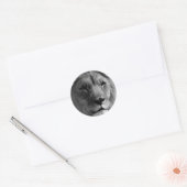 Sticker Rond Lion noir et blanc (Enveloppe)