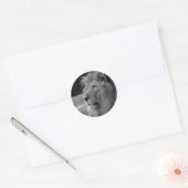 Sticker Rond Lion noir et blanc - Animal sauvage (Enveloppe)